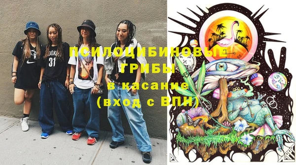 прущий лед Арсеньев
